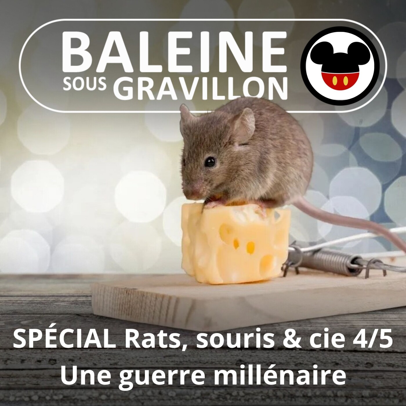 SPÉCIAL Rats, souris & cie 4/5 : L'extension du domaine de la lutte episode artwork