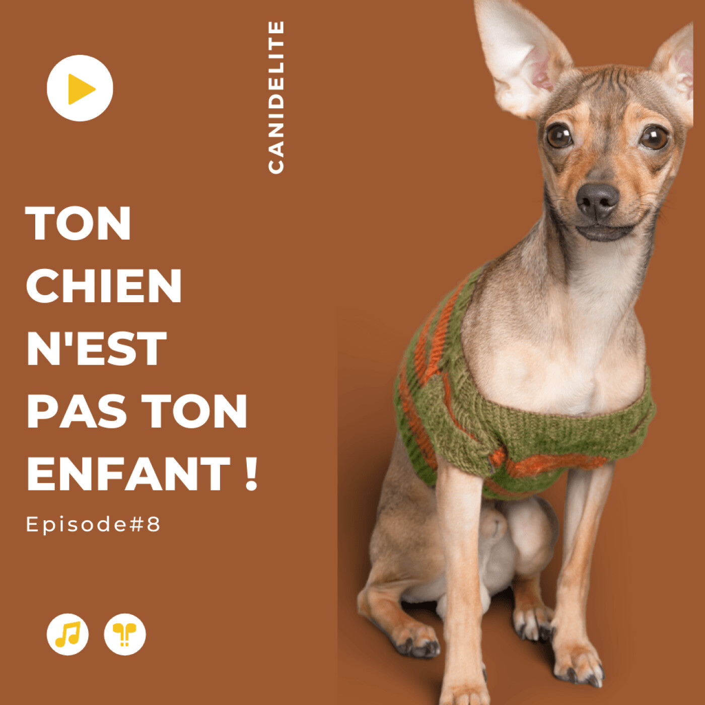 Episode #8 : La tendance du "chien / enfant", dangers ou bénéfices ?