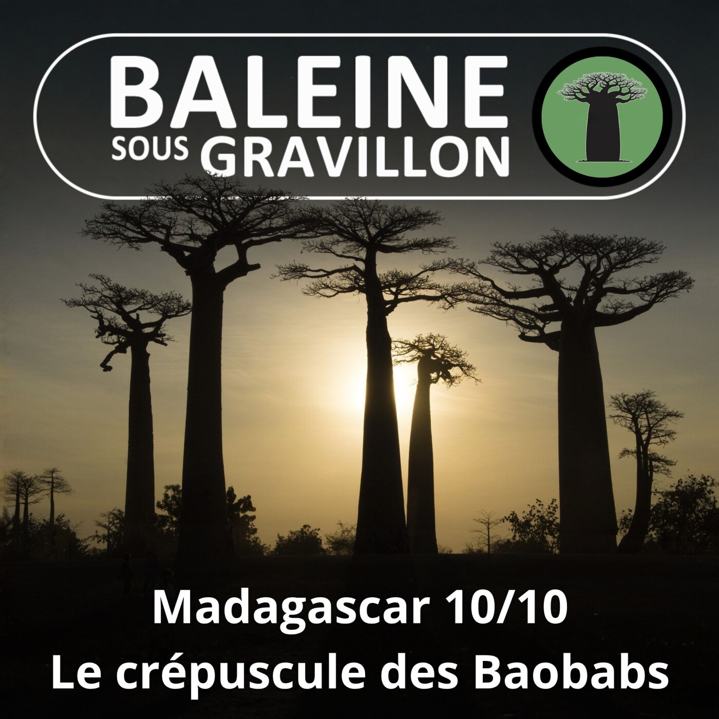 S03E49 Madagascar 10/10 : Le crépuscule des Baobabs (Evrard Wendenbaum) episode artwork