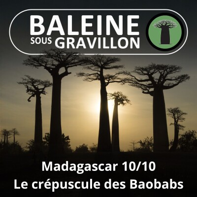 S03E49 Madagascar 10/10 : Le crépuscule des Baobabs (Evrard Wendenbaum) cover