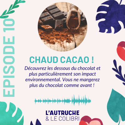 S02E55 Chaud cacao ! D'où vient cet irrésistible chocolat ? (L'autruche et le colibri) cover