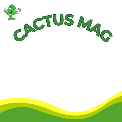 260414 CM ANNIE UNE PASSIONNEE DES MOTS cover