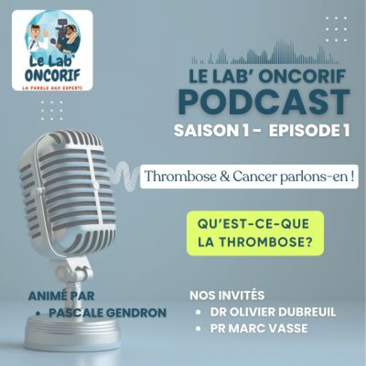 Lab' ONCORIF : qu'est-ce que la thrombose? Lab' ONCORIF : qu'est-ce que la thrombose?
