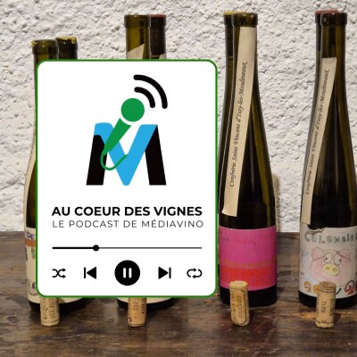 Vignoble d'Île-de-France I Confrérie Saint-Vincent I Issy-les-Moulineaux cover