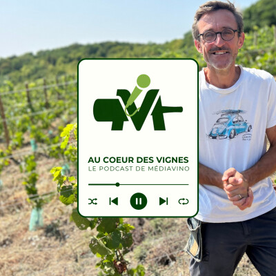 Normandie I Xavier Gandon, Auturae Vinum, le retour d'un vignoble oublié (extrait) cover