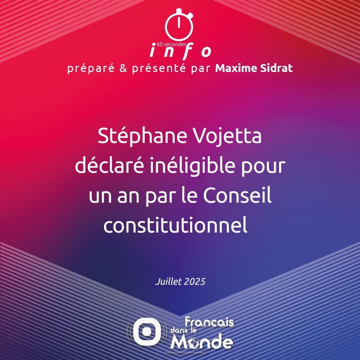 Stéphane Vojetta déclaré inéligible pour un an par le Conseil constitutionnel