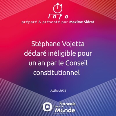 Stéphane Vojetta déclaré inéligible pour un an par le Conseil constitutionnel cover