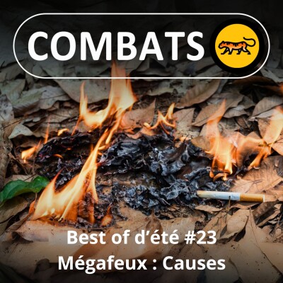BEST OF D'ÉTÉ #23 : Mégafeux, les causes 2/4 cover
