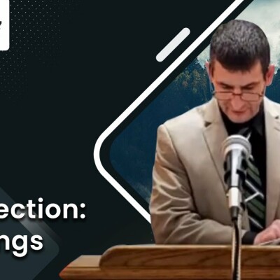 First Resurrection: Who are the Gleanings, and when is the Rapture? cover