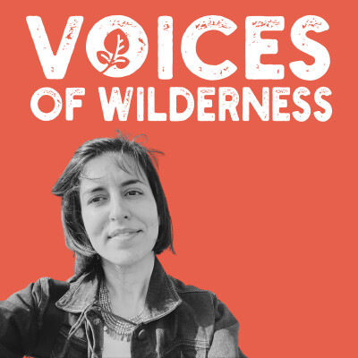 (11) "Law, Rights, and Wilderness" with Javiera Calisto Ovalle cover