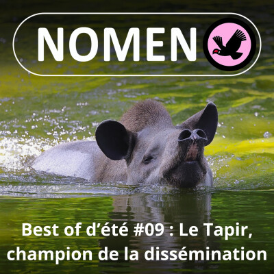 BEST OF D'ÉTÉ #09 : Avec le Tapir ... t'as pas meilleur disséminateur de graines ! cover