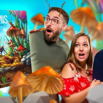[As d'Or 2026] Fourmis - Les règles et la partie cover