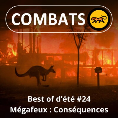 BEST OF D'ÉTÉ #24 : Mégafeux, les conséquences 3/4 cover