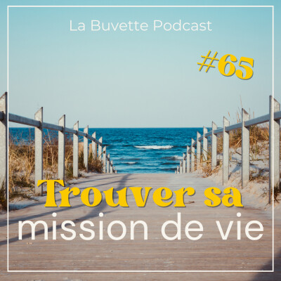 #65 Comment trouver sa MISSION DE VIE ? cover