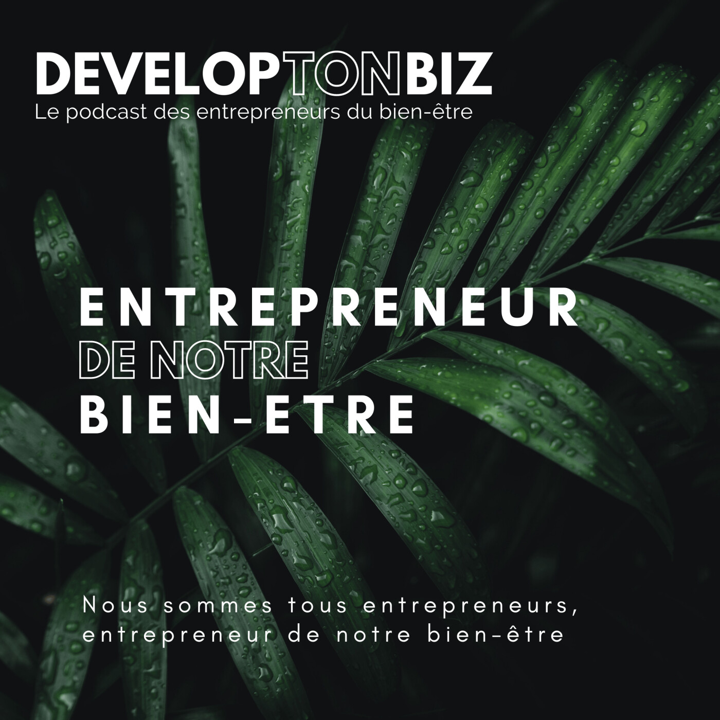 DEVELOPTONBIZ - le podcast des entrepreneurs du bien-être