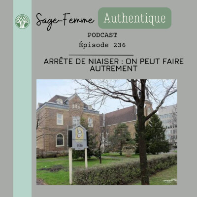 Arrête de niaiser : on peut faire autrement EP236 cover