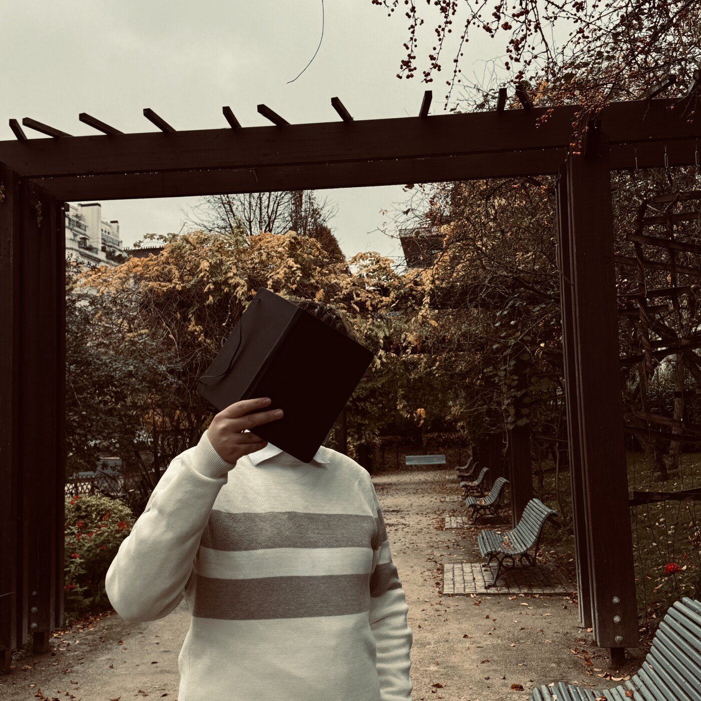 Les Plumes de l’Aube