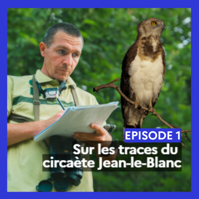 Episode 1 : Sur les traces du Circaète Jean-le-Blanc cover