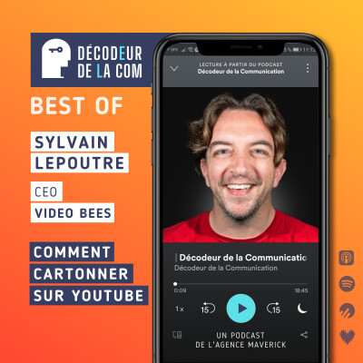 Comment Cartonner sur YouTube | Sylvain Lepoutre, CEO de Video Bees | Best Of cover