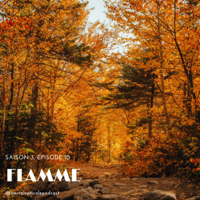 S3E10 - Flamme cover