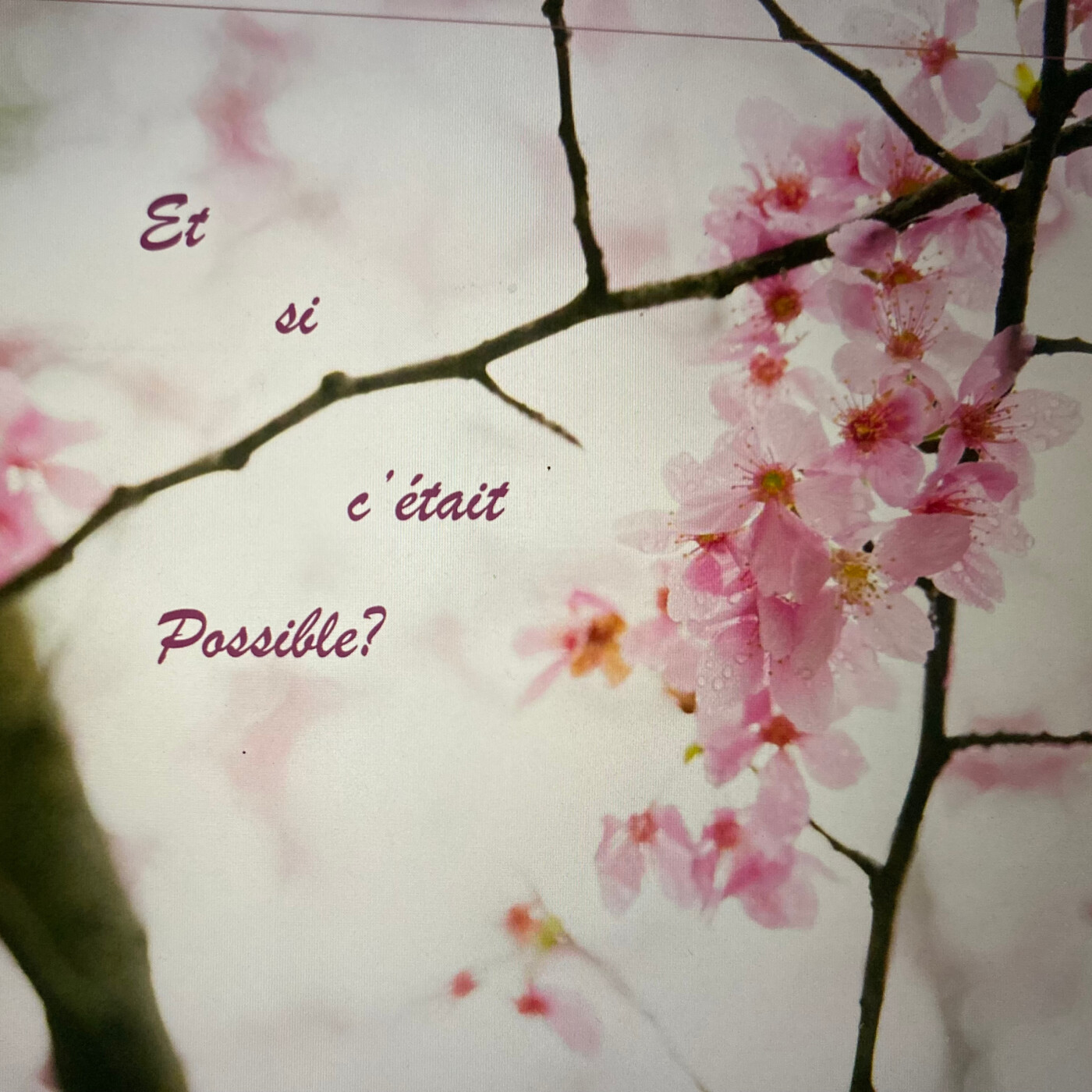 Et si c\'était possible?