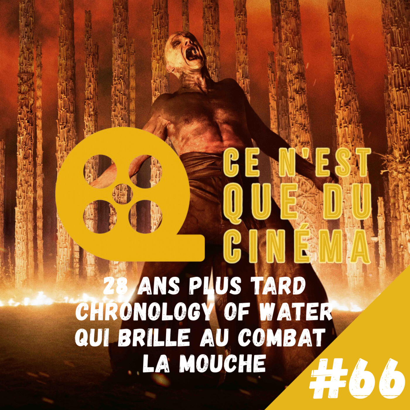 🧟♀️ 28 YEARS LATER, THE CHRONOLOGY OF WATER & LA MOUCHE