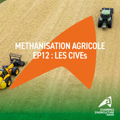 Méthanisation agricole - EP 12 - Les CIVEs, l'atout cultures de l'agriculteur-méthaniseur [Chambres d'agriculture de Normandie] cover