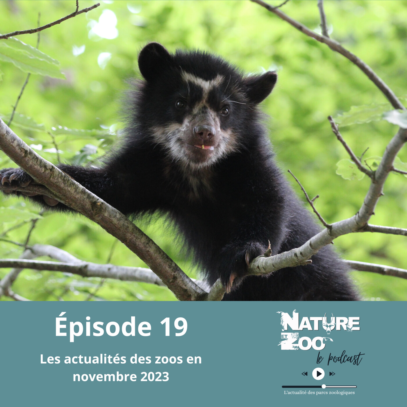 Nature et Zoo - Le Podcast