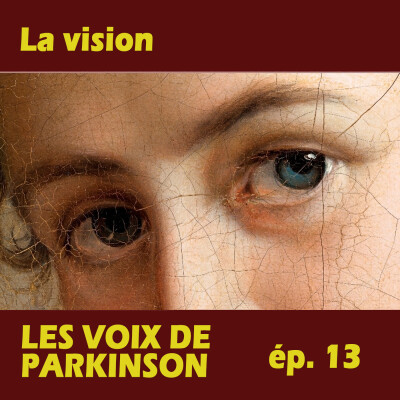 13- Parkinson et vision cover
