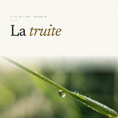 La truite cover