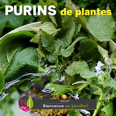 PAROLES D'EXPERTS: PURINS, MACÉRATIONS ET DÉCOCTIONS DE PLANTES ? cover