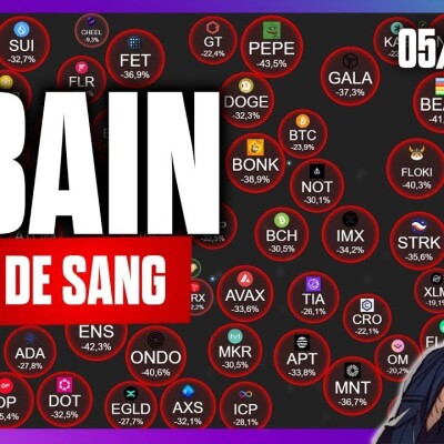 🩸🩸Le KRASH des cryptos et du marché US -  05/08/2024 cover