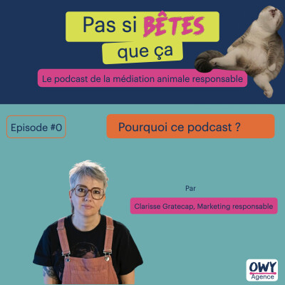 Episode 0 - Pourquoi ce podcast ? cover