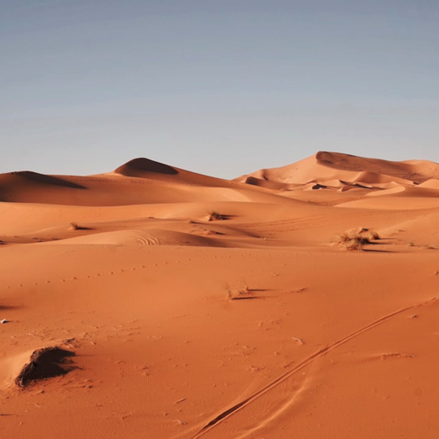 The Sahara between Spain, Morocco and Algeria