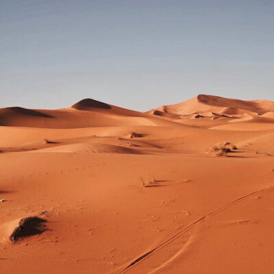 The Sahara between Spain, Morocco and Algeria cover