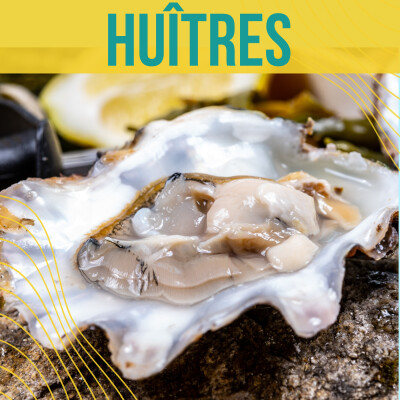 60 clés pour comprendre les huîtres - #8 Le changement global, ça ne leur fait ni chaud ni froid ? cover