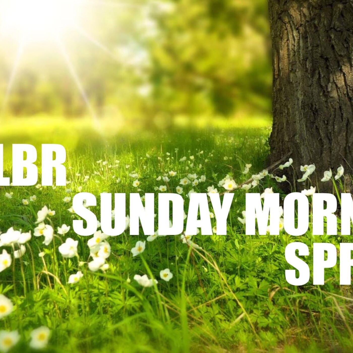 DJ LBR - THE OFFICIAL PODCAST