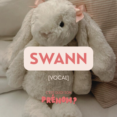 Swann [VOCAL] cover