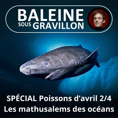 SPÉCIAL Poissons d'avril 2/4 : Les mathusalems des océans (Bill François) cover