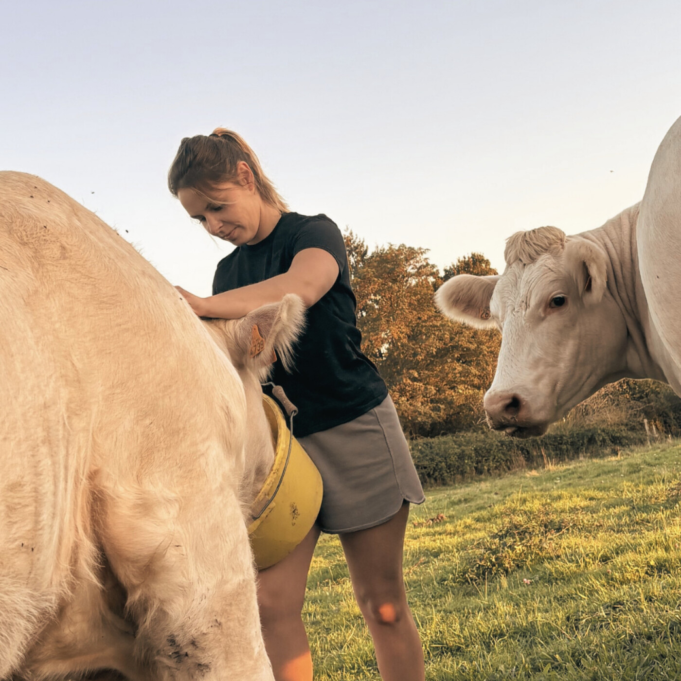 Où ça mène quand on sème
