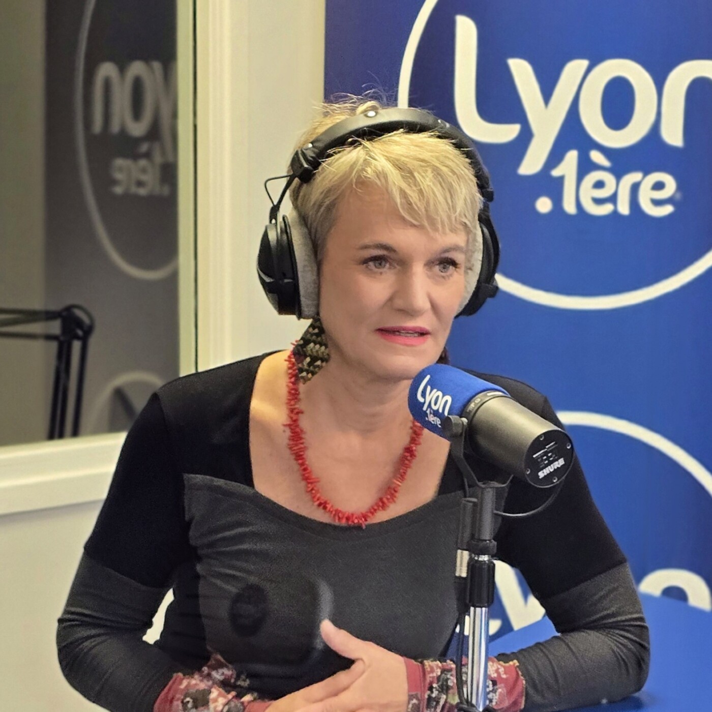 Hélène DUVIVIER : 22e Vice-Présidente Les Ecologistes à la métropole en charge du Tourisme. Elue d'opposition à la mairie de Franchville episode artwork