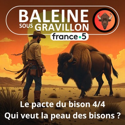 S07E35 Le Pacte du bison 4/4 (France 5) : Qui veut la peau des bisons ?  (Thierry Robert) cover