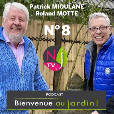 EMISSION#8 du 8 MAI 2021-L'INTEGRALE cover