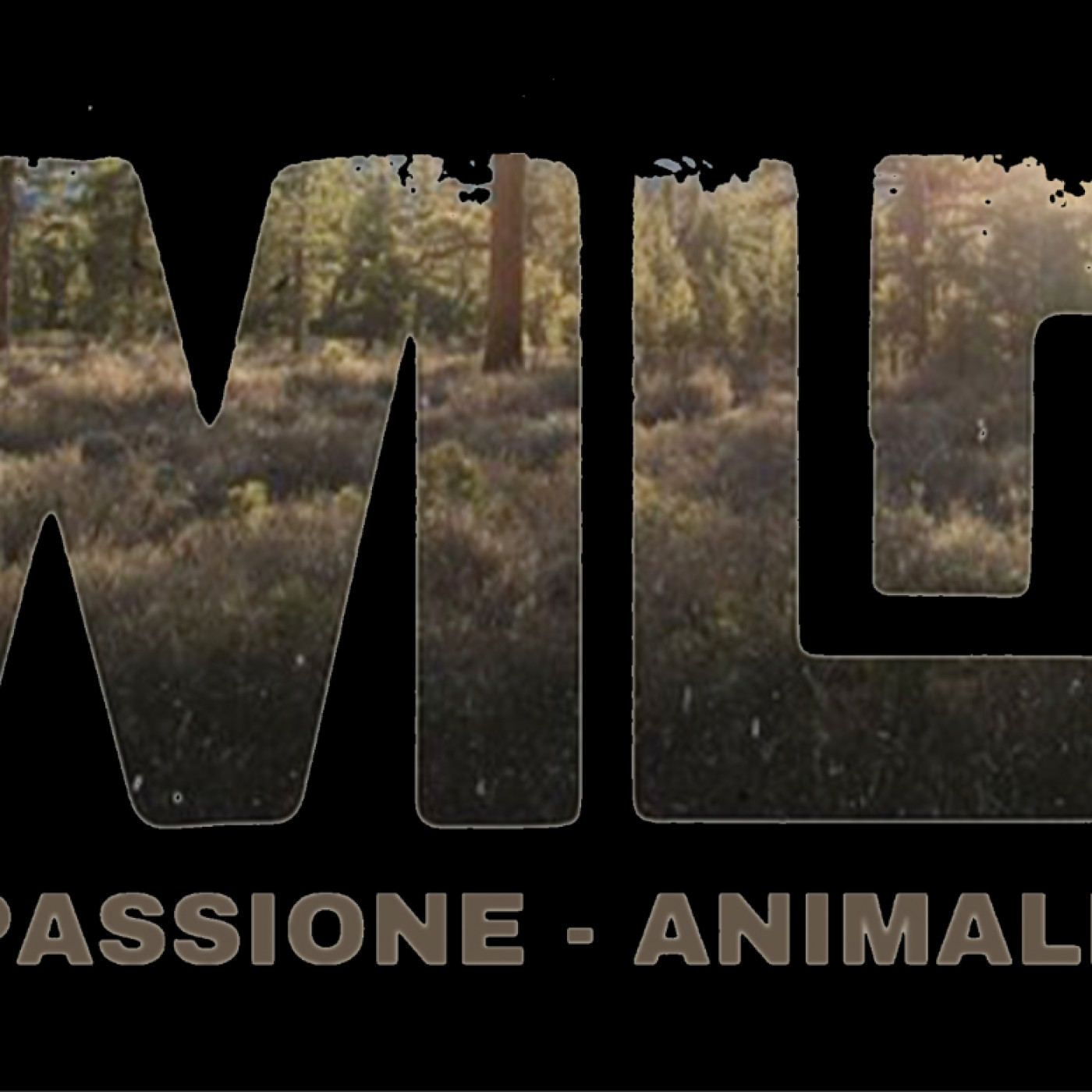 PASSIONE ANIMALE - PODCAST ANIMALIER #0 - TEASER PRESENTATION EMISSION