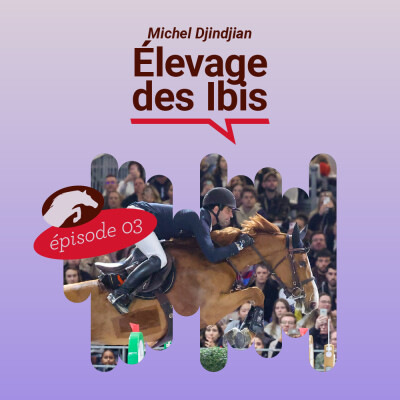 ELEVAGE DES IBIS : MME POMPADOUR (Hydra des Ibis), SULTANE DES IBIS... rencontre avec Michel DJINDJIAN, naisseur de champions au fil des ans cover