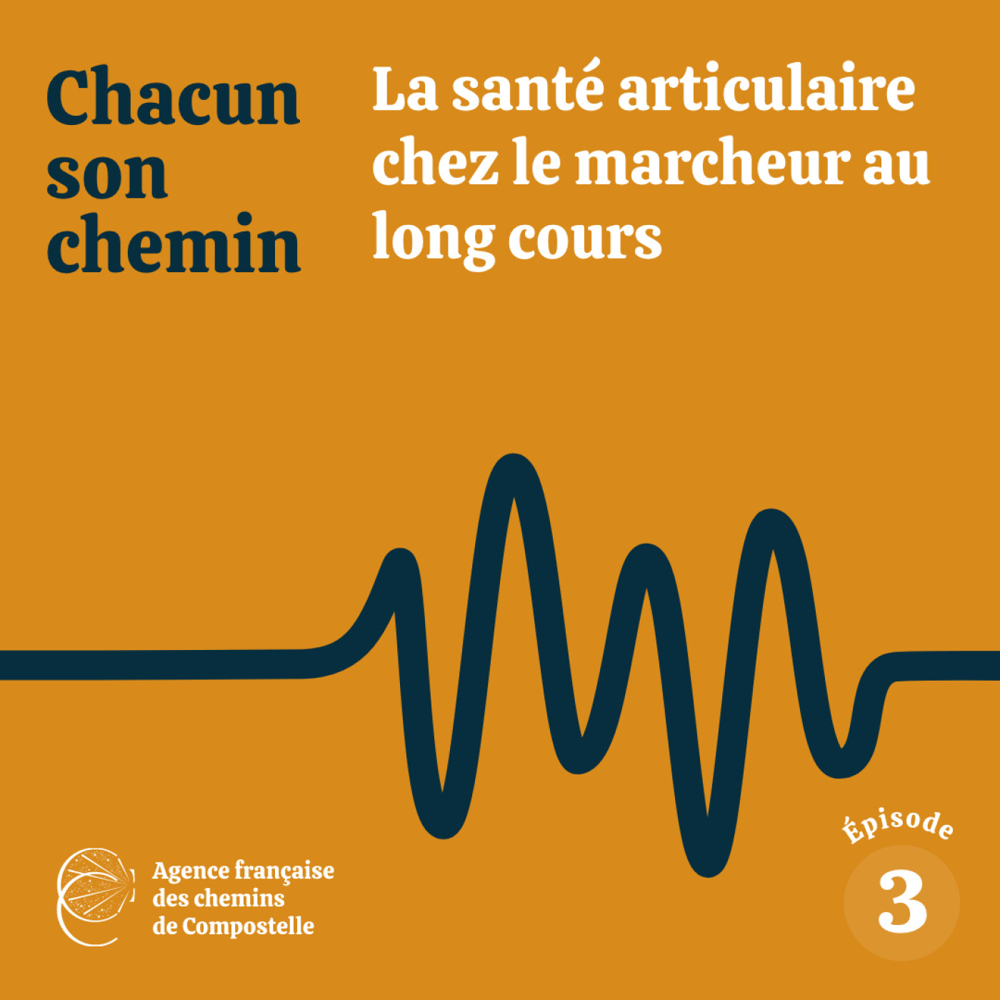 La santé articulaire chez le marcheur au long cours