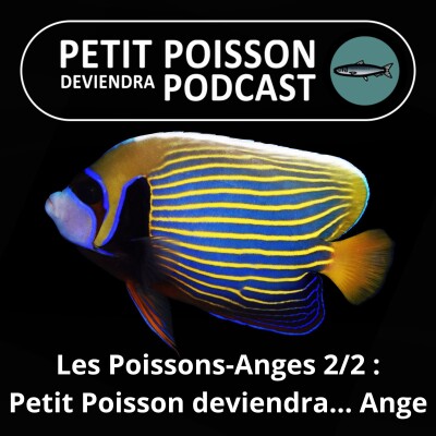 S02E14 Les Poissons-Anges 2/2 : Petit Poisson deviendra... Ange cover