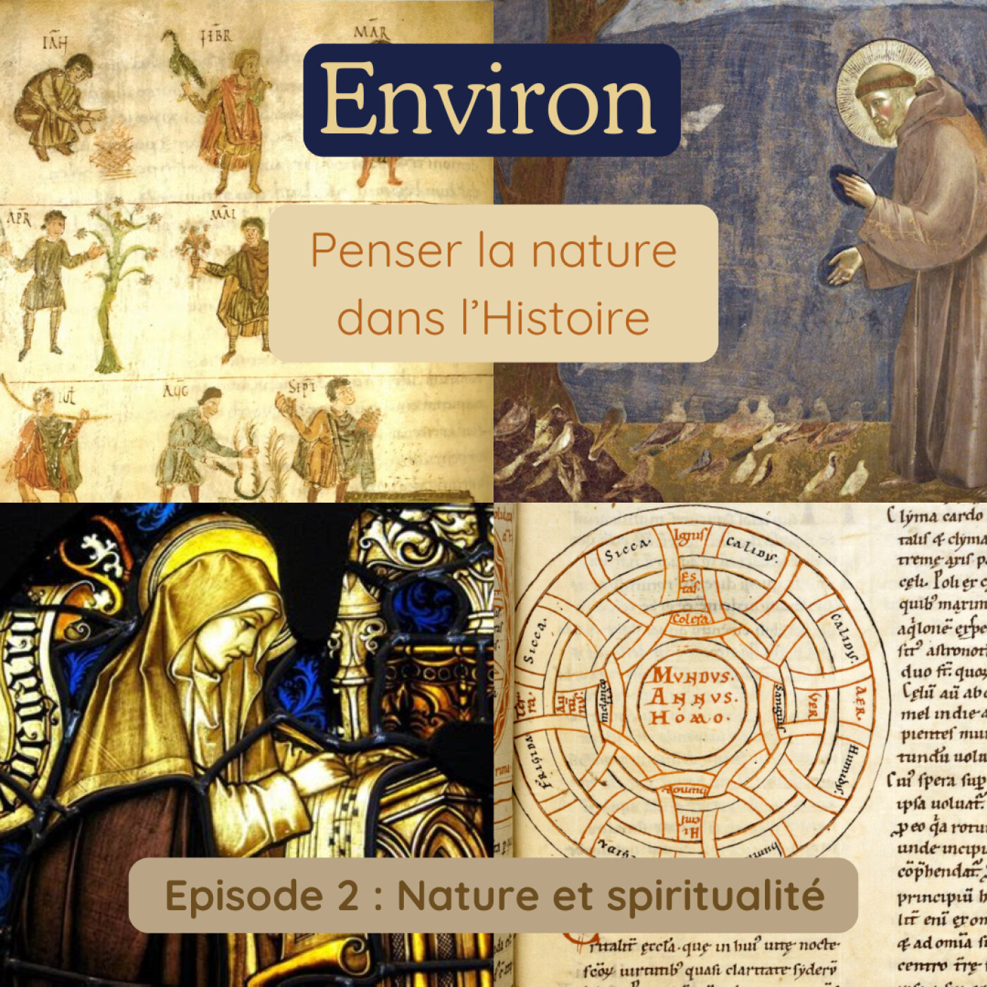 Environ