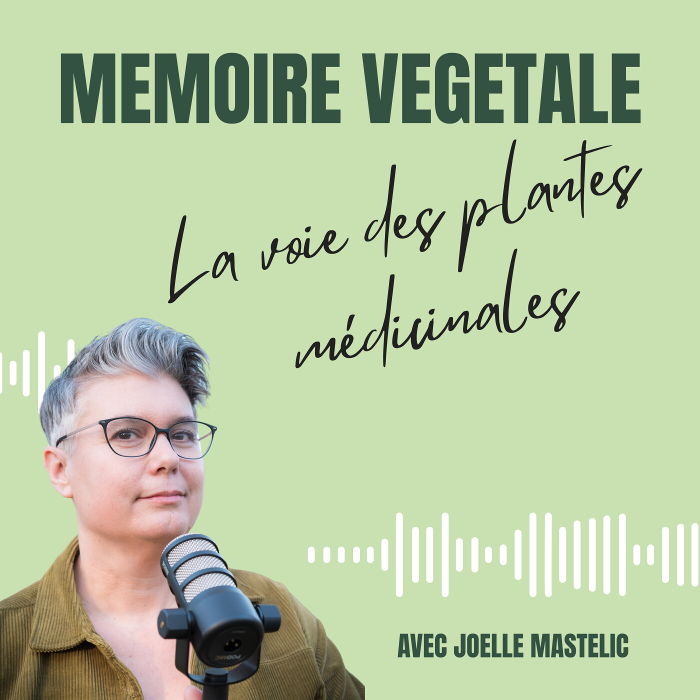 Mémoire végétale : la voie des plantes médicinales