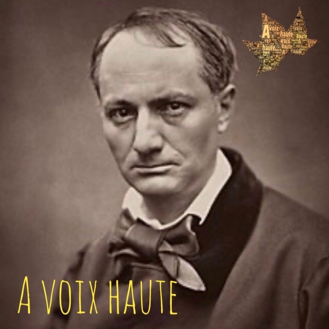 Charles Baudelaire - Elévation - Yannick Debain